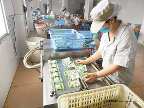 區域優勢轉化為發展動能 四川打造一批商貿物流特色鎮，食品經營煥發新活力